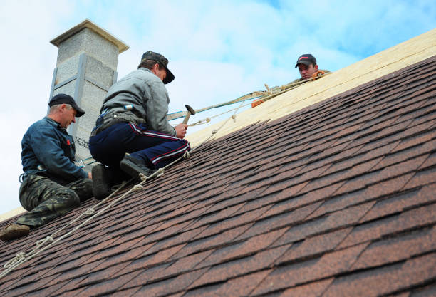 Best Storm Damage Roof Repair  in West Dundee, IL